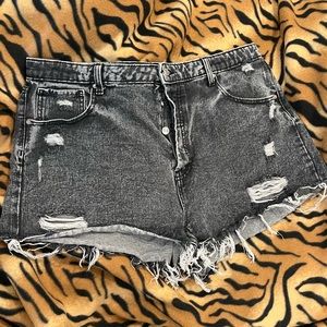 distressed daisy dukes